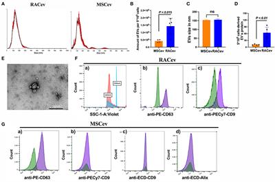 Extracellular Vesicles Derived From Regeneration Associated Cells Preserve Heart Function After Ischemia-Induced Injury